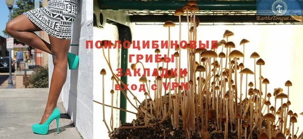 стафф Абаза