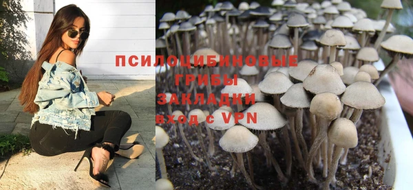 стафф Абаза