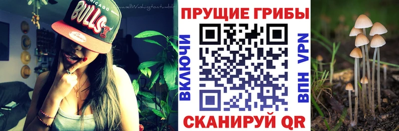 Псилоцибиновые грибы мухоморы  Донецк 