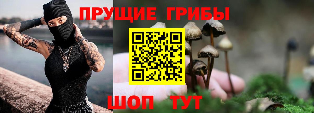 Донецк  Галлюциногенные грибы MAGIC MUSHROOMS  Вход с VPN 